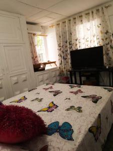 Casa Zaida Hostal Vintage