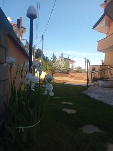B&B Abruzzo Mare e Monti