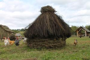 Maisons de vacances Gite la petite ferme vivriere : photos des chambres