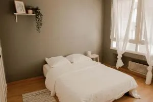 Belle appartement lumineux -Tram au pied de l'immeuble - - 埃鲁维尔圣克莱 Belle appartement lumineux -Tram au pied de l'immeuble - - 埃鲁维尔圣克莱