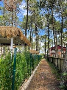 Cottage Ani in grigoleti