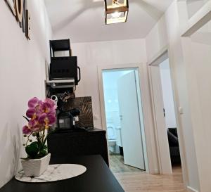 APARTAMENT ANTIK No6 ALBA IULIA