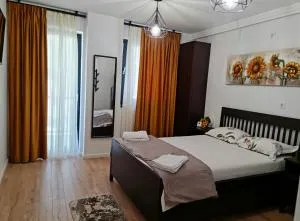 APARTAMENT ANTIK No6 ALBA IULIA - 奥勒什蒂耶