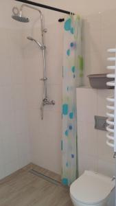 Paprotówka apartament WIOSENNY