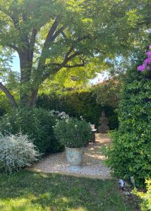 Maisons d'hotes LA PARADOUNE : photos des chambres