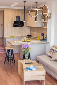 Apartment Steff