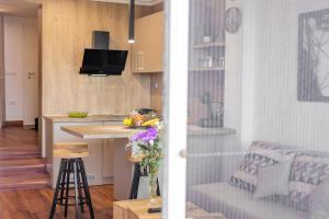 Apartment Steff