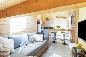 Le Flocon 88 - Vue exceptionnelle