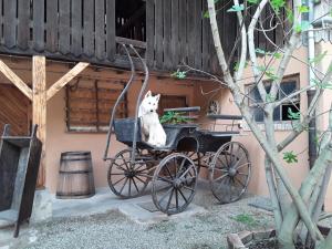 Appartements Gites les cocottes : photos des chambres