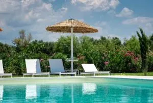 Beach Bird Eagle - Olynthos