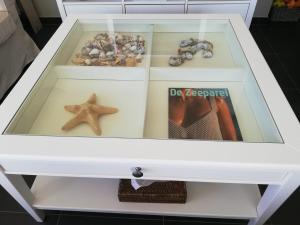 Zonnig appartement dicht bij ZEE en CENTRUM van Sint Idesbald