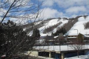 Blue Mountain Luxury Studio