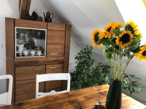 Brzoza i Świerk z widokiem na góry