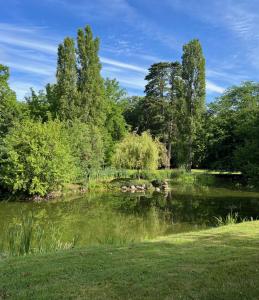 B&B / Chambres d'hotes Chateau de Beauvais : photos des chambres