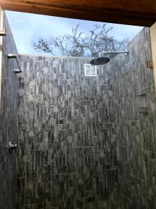 Voces de Aves Glamping