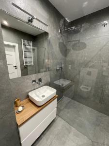 Apartament Stary Tartak z widokiem na jezioro