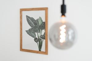 Maison de Fashion Apartment