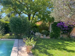 Maisons d'hotes La Paradoune 2 : photos des chambres