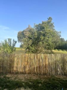 Maisons de vacances Gite au Domaine des charmes : photos des chambres