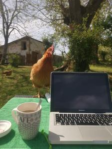 Maisons de vacances Gite au Domaine des charmes : photos des chambres