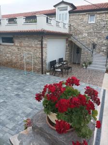 Private Accommodation Kanegra