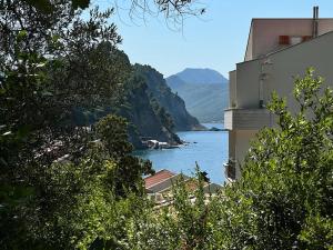 Vista Petrovac