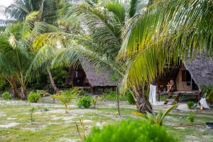 Tailana Island Pulau Banyak