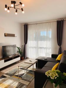 Newton luxury apartment