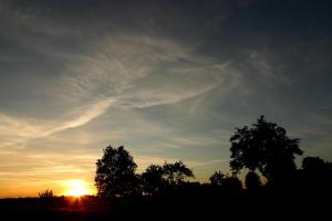 Bumerang Jolanta Foks