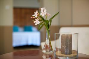 Maisons de vacances Salamandre et Hippocampe : photos des chambres