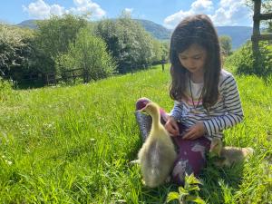 Black Mountains Stylish Hideaway, nr Crickhowell