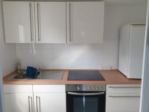 Apartment with Shower room in Monteurwohnungen Santos Lerch