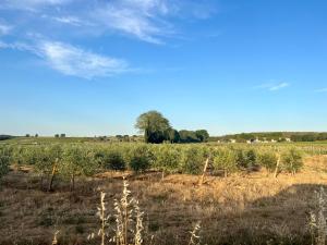 Hotels Domaine de Panery : photos des chambres