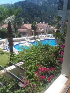 dolphine apatment turunç