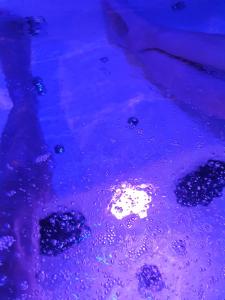 Love hotels Loft Spa Bord de Mer Fouras - 800m des plages : photos des chambres