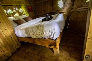 Maisons d'hotes Le Petit Moulin du Rouvre : photos des chambres