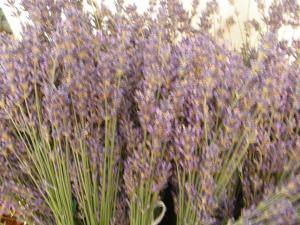 Ilona Vendégház Balatonszabadi