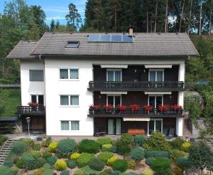 Frans Josef Apartments
