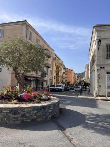 Joli appartement F2 centre ville de Corte