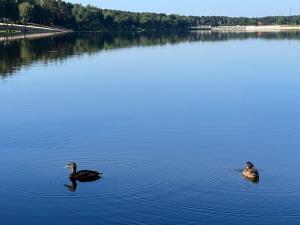 Family & Business Sauna Apartments No2 Leśny nad Zalewem Cedzyna - 2 Bedroom with Private Sauna, Bath with Hydromassage, Terrace, Parking, Catering Options