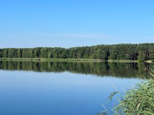 Family & Business Sauna Tężnia Apartments No18 Leśny nad Zalewem Cedzyna -1 Bedroom with Private Sauna, Bath with Hydromassage , Terrace, Parking, Catering Options