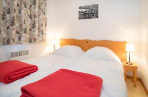Balcons G 012 - PARC NAT VANOISE appart 8 pers