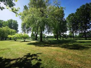 Campings L'Oasis des Dombes : photos des chambres