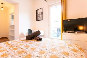 Appartements Cosy Apparts Brive : photos des chambres