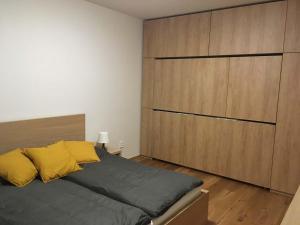 Apartmán u sjezdovky