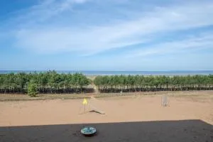 Appartement face mer et aux pins - 圣米歇尔-谢夫谢夫