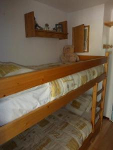 Appartements Le Chamois Blond 509 : photos des chambres