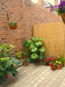 The Boutique York Garden Studio