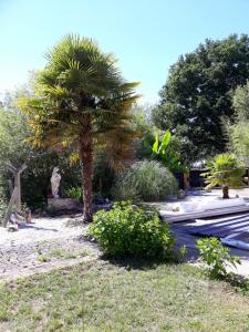 Sejours chez l'habitant Villa suzana : Chambre Double - Vue sur Jardin