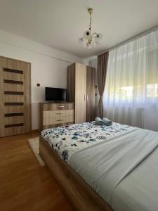 Apartament Andrei Baile Felix